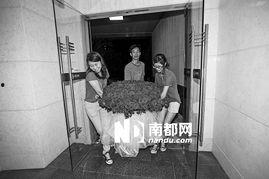 花前喜事,一场浪漫的婚礼盛宴