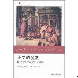 沉默正义,揭开真相背后的神秘面纱