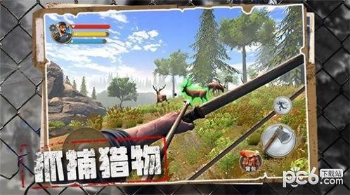 荒野奇遇,穿越未知世界的探险之旅