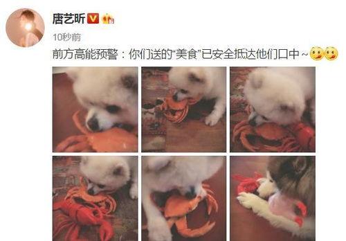 暗暗宠深深爱,宠深深爱的浪漫旅程