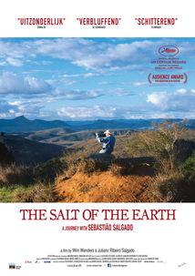 地球之盐,探寻地球之盐的神秘与价值