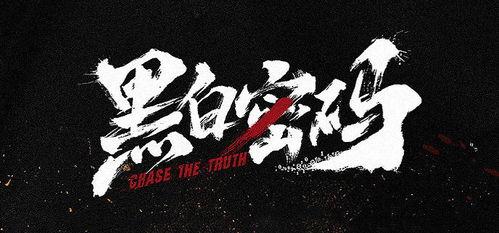 黑白密码,揭秘数字世界的神秘面纱