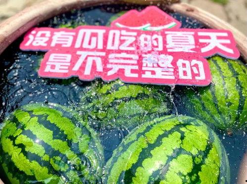 娱乐场所日常吃瓜,揭秘日常吃瓜背后的故事与真相